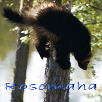 Rosomaha