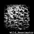 Wild_Reanimator