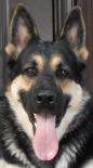 KARO