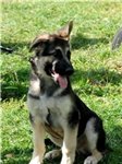 KLYKSA