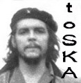 toSKA