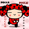 pucca