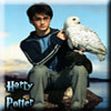 Haarry Potterr