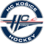 Slovak Slovak