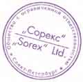 sorex