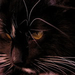 Dark Nuju