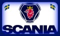 SCANIA989