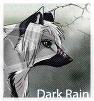 Dark Rain