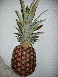 ANANAS