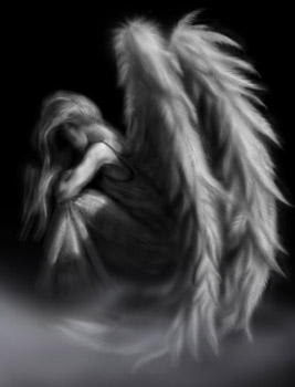 Angel24