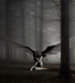 ***Fallen Angel***