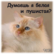 :)))