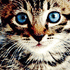 Micia