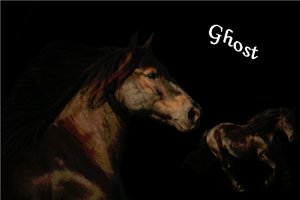 Ghost