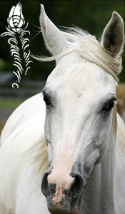Lucifero