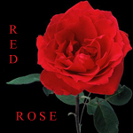 RedRose