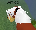 Amigo