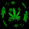 ogonek