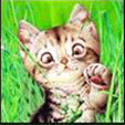 Green Cat