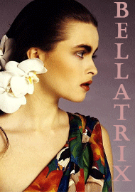 ���������� ����������