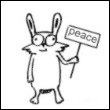decoy