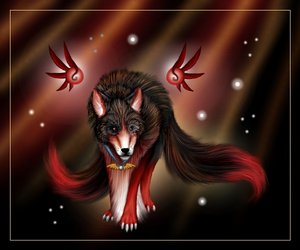 WildWind