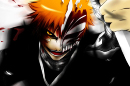 HollowIchigo