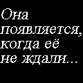 Kadetka