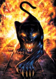 Lord of Dark