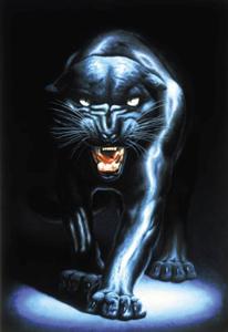 DOOM PANTHER