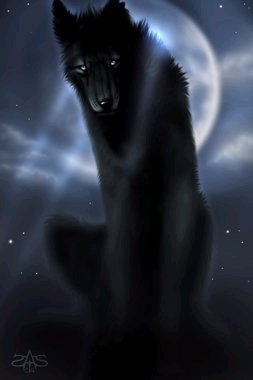 Dark Wolf