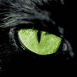 DarkSideofDnB