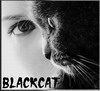 BlackCat