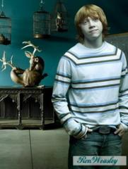 ��� �����