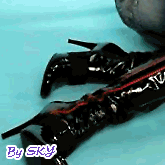 ������"�����"����