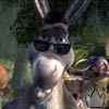 Crazy_Donkey