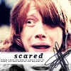 Ron Weasley*