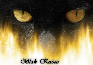 Blak Katze