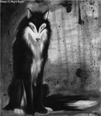 Shadow