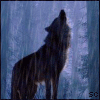 WOLF`S BLOOD