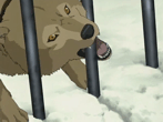 Hige