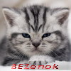 BEZenok