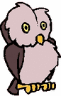 owlet