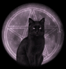 Zicfrid