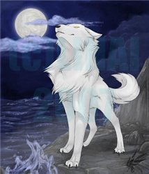 WhiteMoon