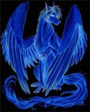 ����-����