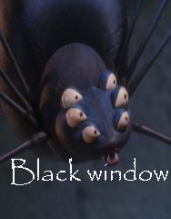 ׸���� �����