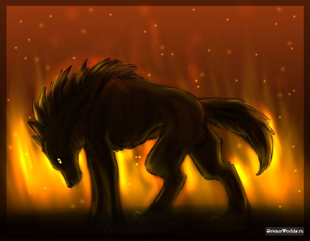 Twilight wolf