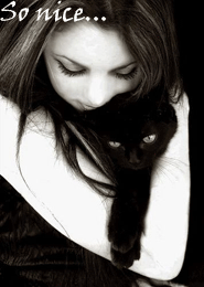 ����� ���������