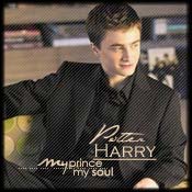 �����_������